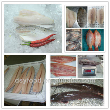 Types de filets de poisson